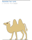 En kamel.