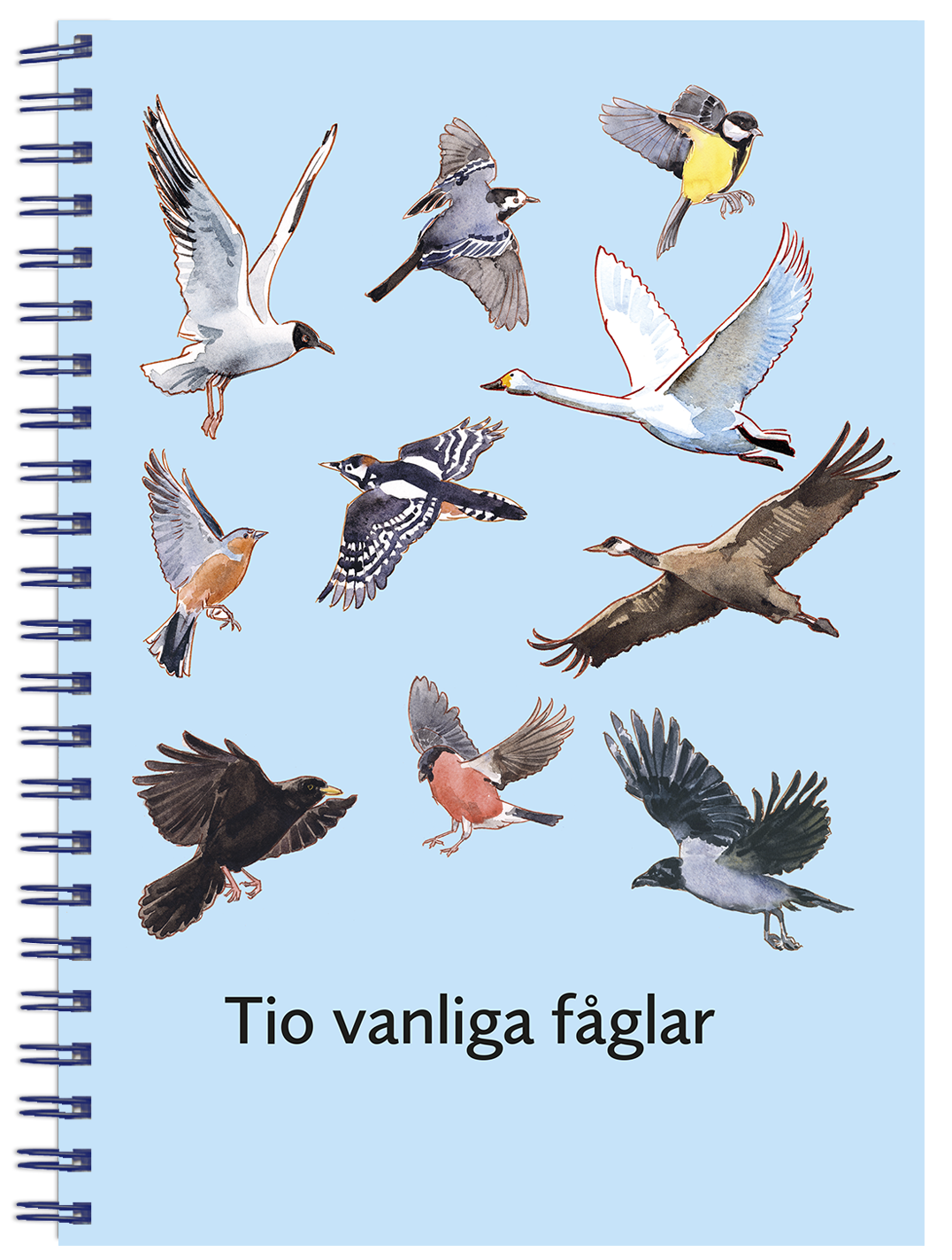 Omslagsbild Tio vanliga fåglar.