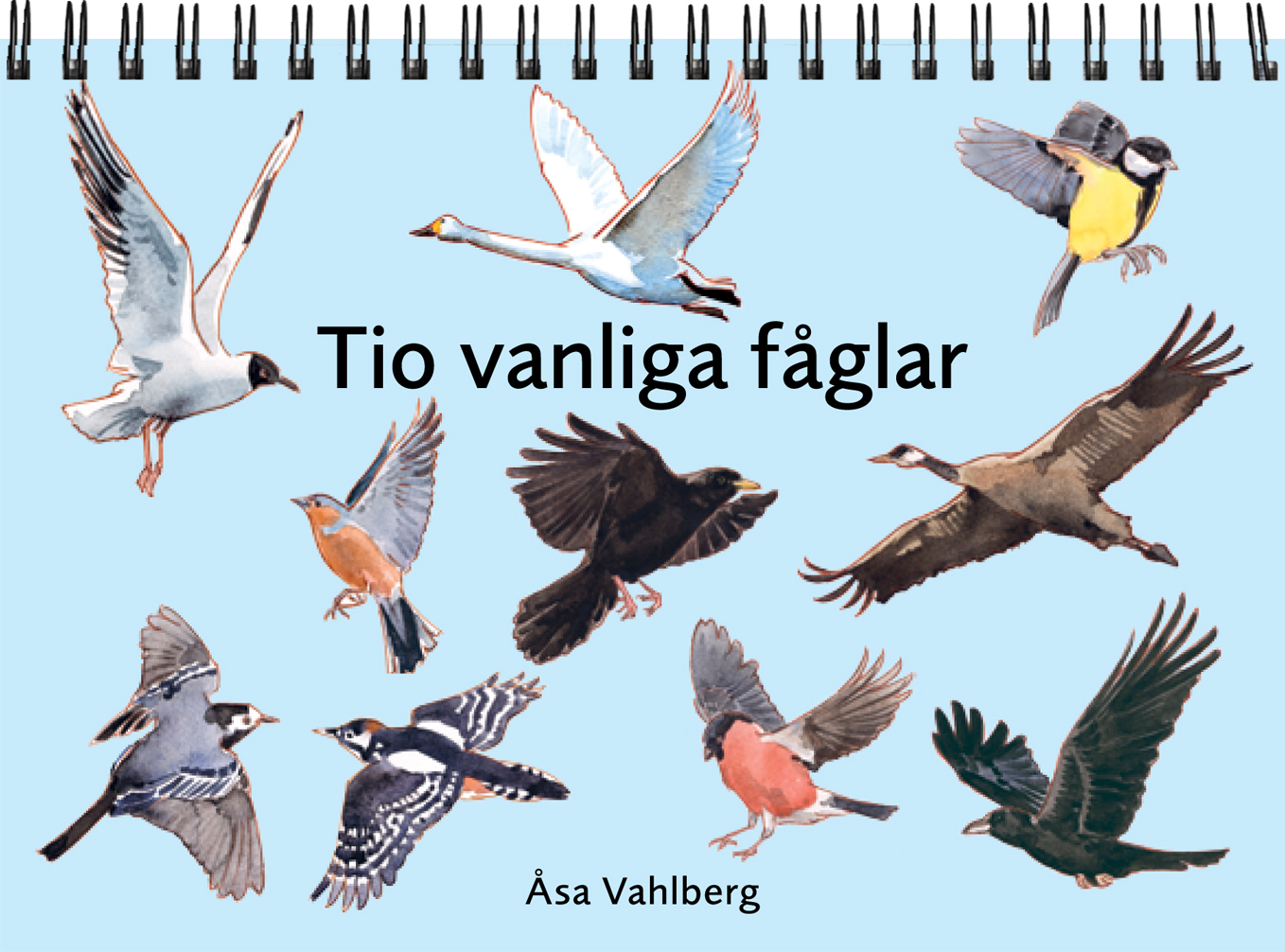 Diverse fåglar mot en ljusblå bakgrund.