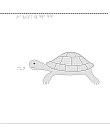 Taktil bild på en havssköldpadda.