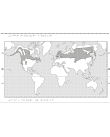 Världskarta i relief med barrskog markerat.