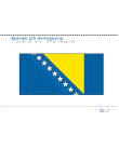 Taktil bild - Bosnien Hercegovinas flagga.