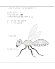 En bild om insekternas uppbyggnad.