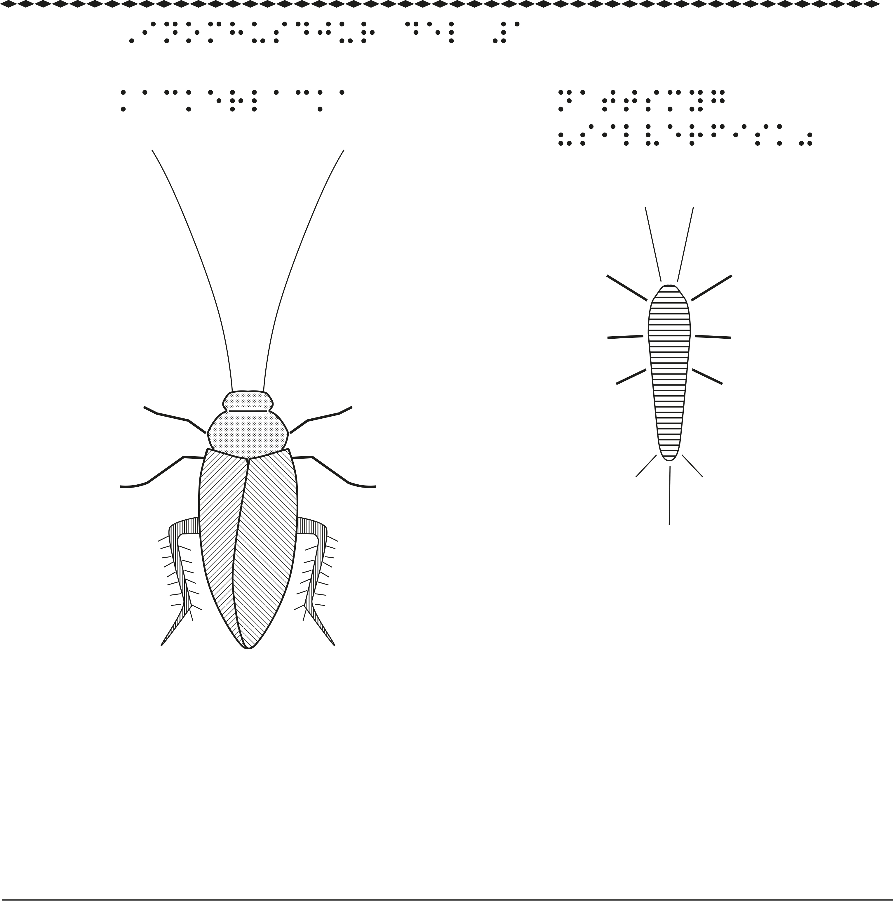 En bild på insekter som lever inomhus.
