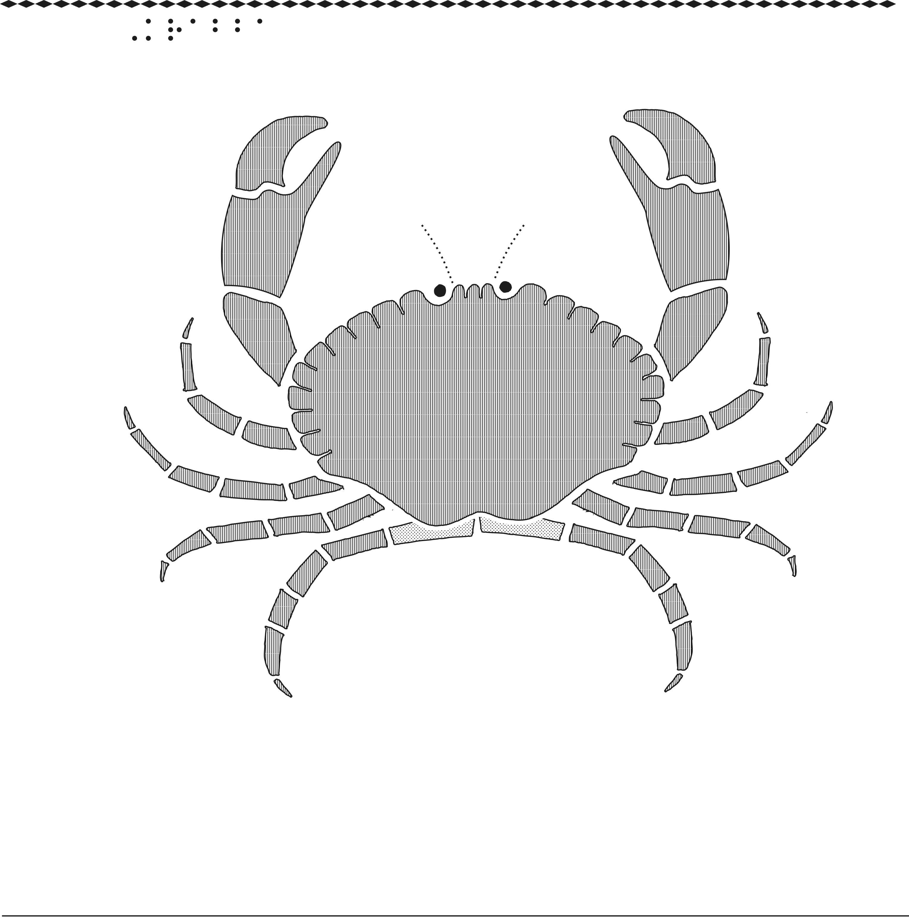 En bild på en krabba.