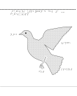 Fågelns uppbyggn. del 1–3: fågelkropp, inälvor, andnings- och luftsystem.