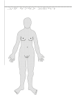 Kvinna framifrån – kroppsdelar, i relief.